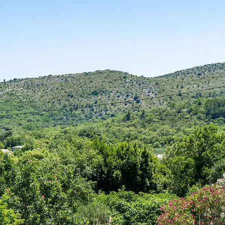 Lägenhet Harmony - With Free Parking *